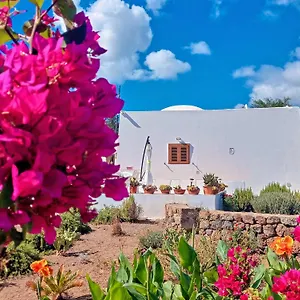 https://dammuso-fiori-dossidiana-pantelleria.sicilyhotelsitaly.net